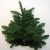 Nobilis decoratie takken