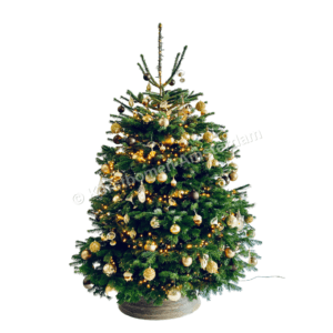 Versierde kerstboom - Beverly Hills