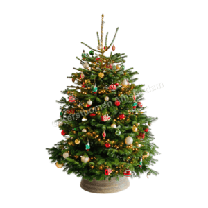 Versierde Kerstboom Hermitage