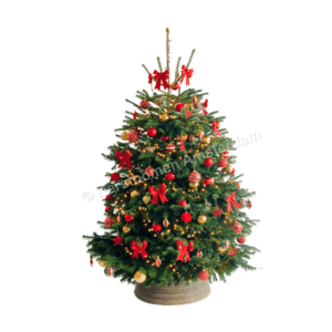 Versierde kerstboom Moulin Rouge