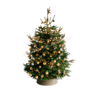 Versierde kerstboom Serengeti