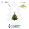 Nordmann kerstboom