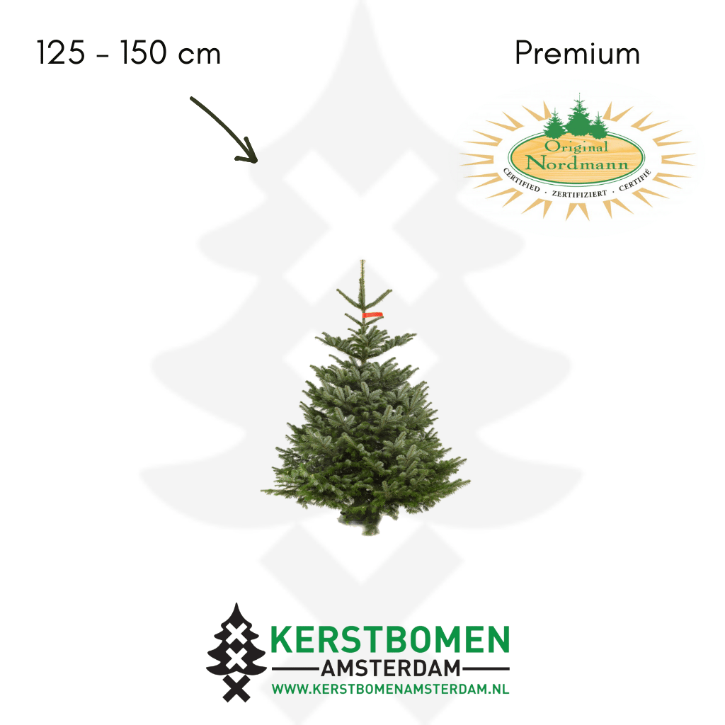 Nordmann kerstboom