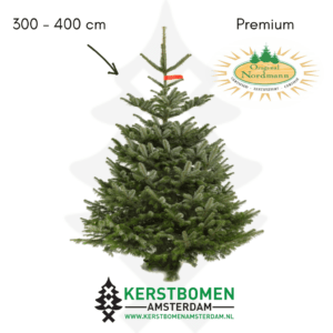 Nordmann kerstboom