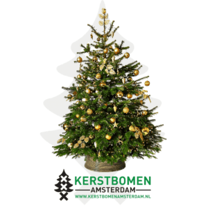 kerstboom versierpakket