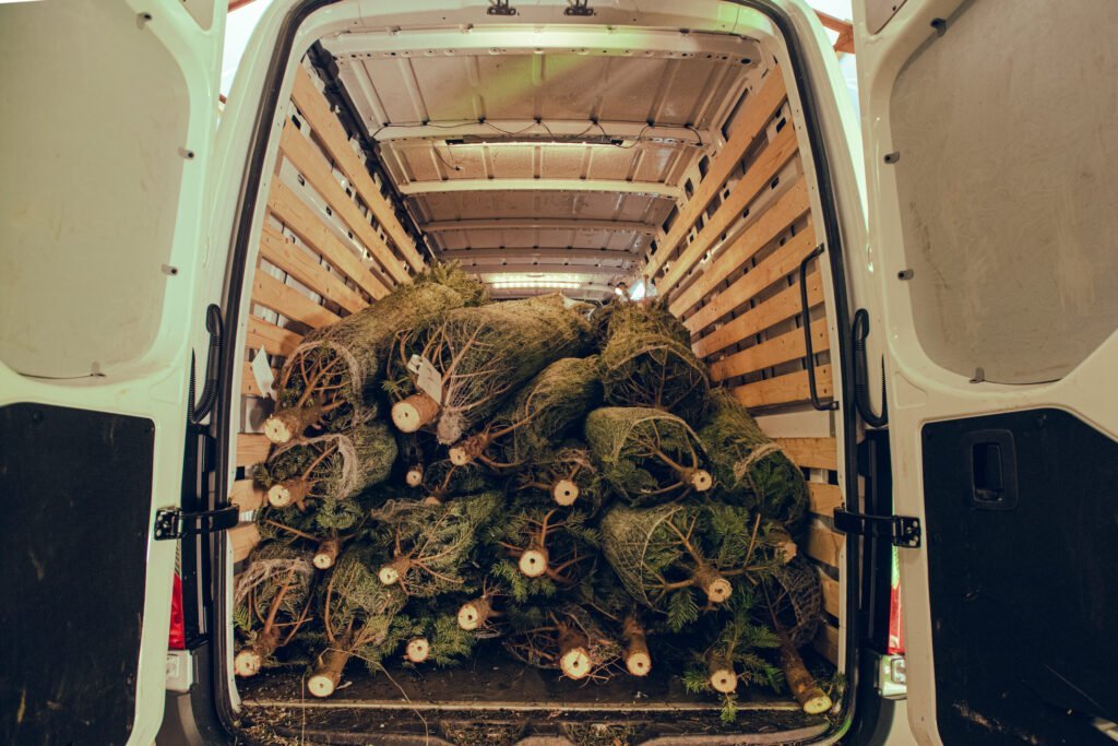 kerstboom bezorgen